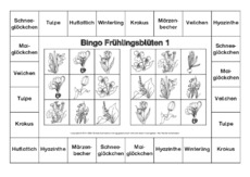 Bingo-Frühlingsblüten-1-SW.pdf